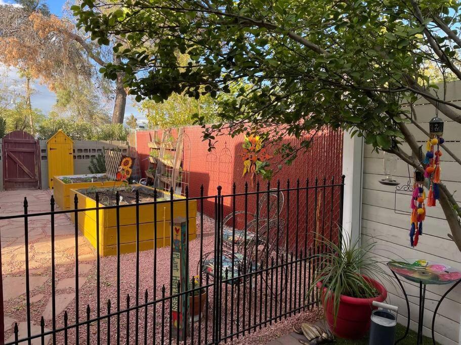 Encanto Cactus Flower Casita فينيكس المظهر الخارجي الصورة